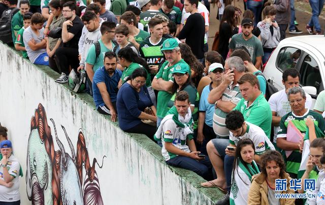  科隆，极端球迷滋事，俱乐部面临重罚